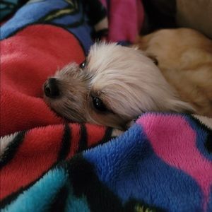 Meet your Posher, Gina